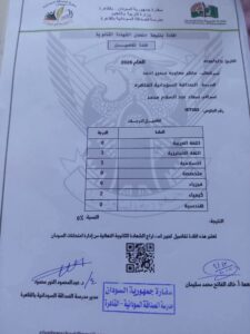 صدمة لـ أسرة طالب متفوق بعد النتيجة الصفرية في الشهادة السودانية بمركز القاهرة